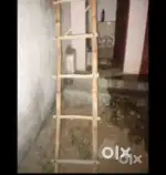 New sidi hai