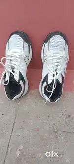 Aerofit  cricket shoes with spikes