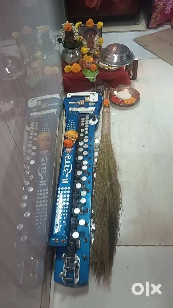 Bulbul banjo 29 button