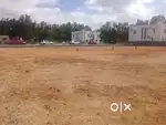 Premium Plots