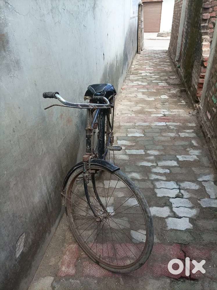 Cycle full size