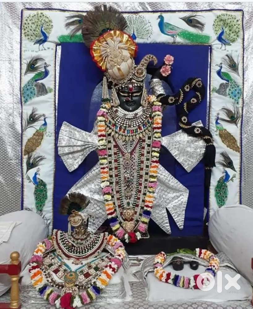 To let 3 BHK in Jai shree colony