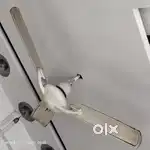 Ceiling fan