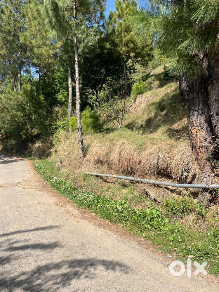 18 bishwa land in kumarsain Shimla HP