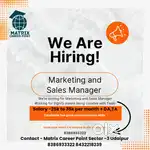 Requirements marketing and sales manager