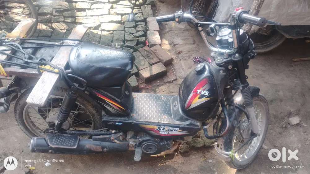 Tvs xl 100 B6 salp