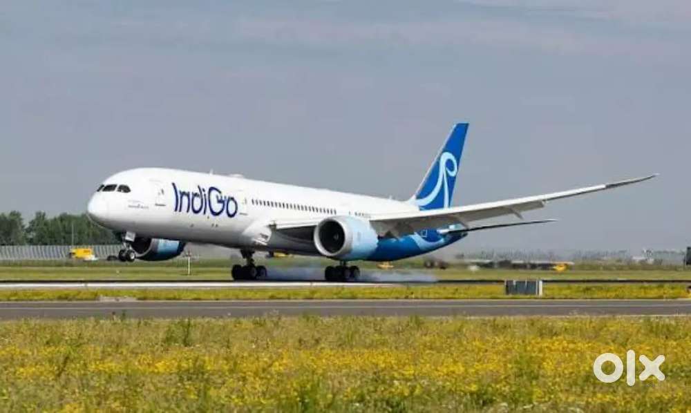Indigo Airlines jobs /Vacancy for Airport Ground staf / Driver / Crew