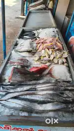 Fish shop in trivandrum