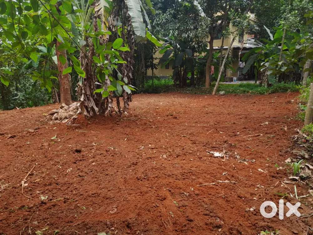 Plot for Sale, Mylakkad, Kottiyam, Kollam