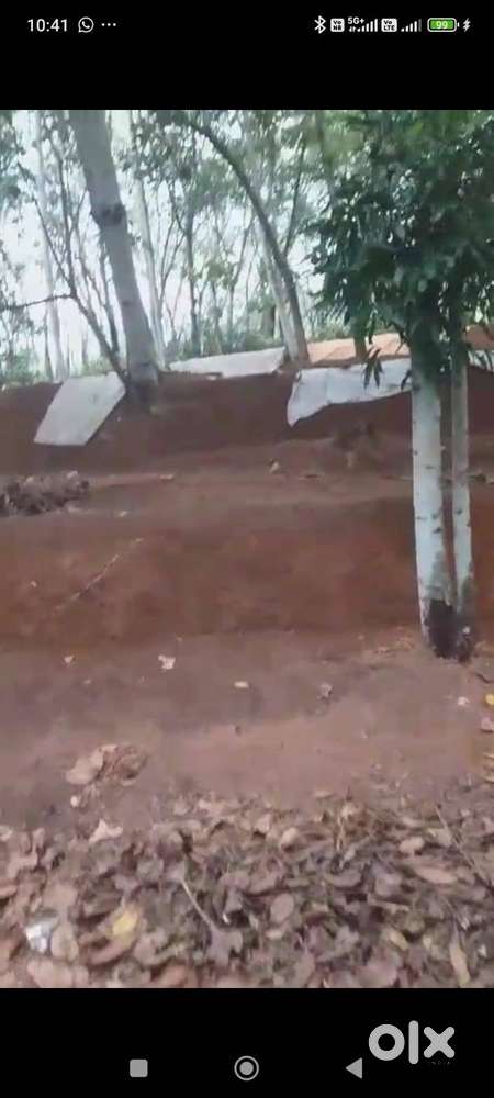 RESIDENTIAL PLOT AT PONGALADY