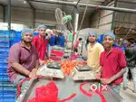 FREE WEARHOUSE JOB , URGENT REQUIREMENT FOR HYDERABAD