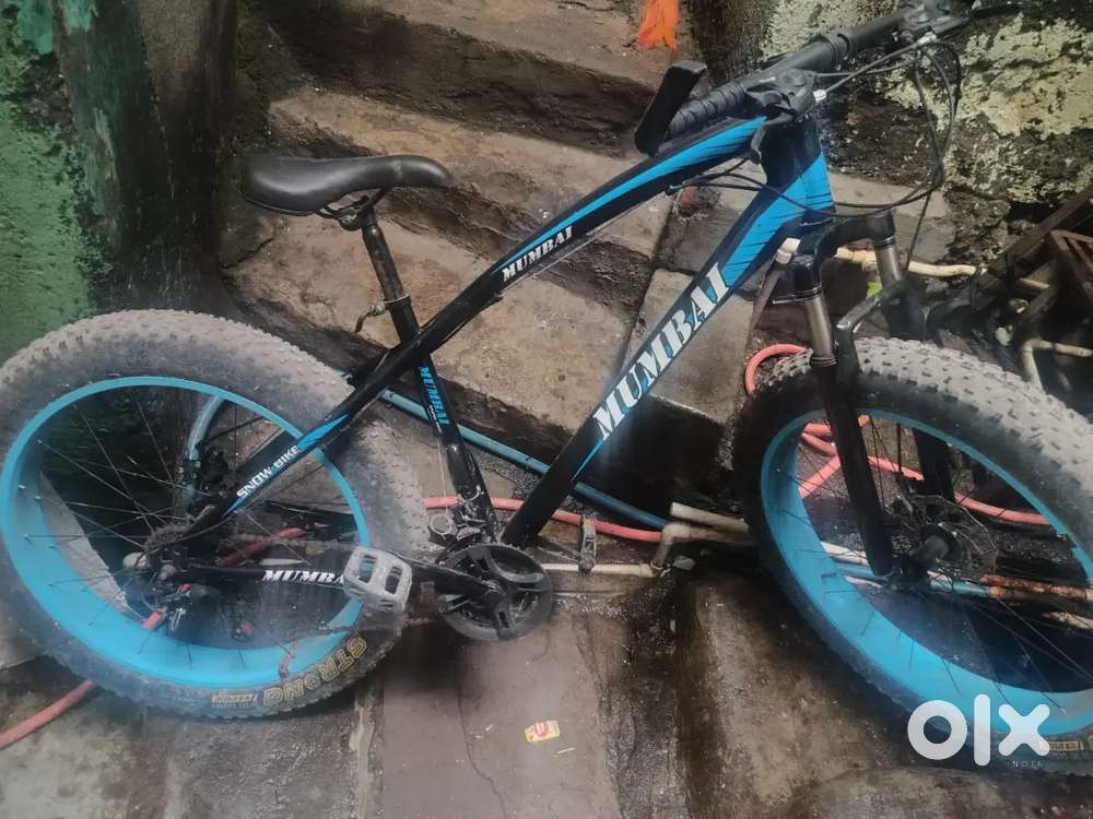 Fatbike cycle