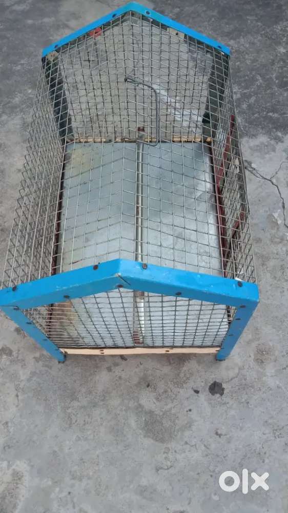 Bird Cage. _