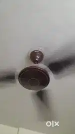 celling fan havells brand