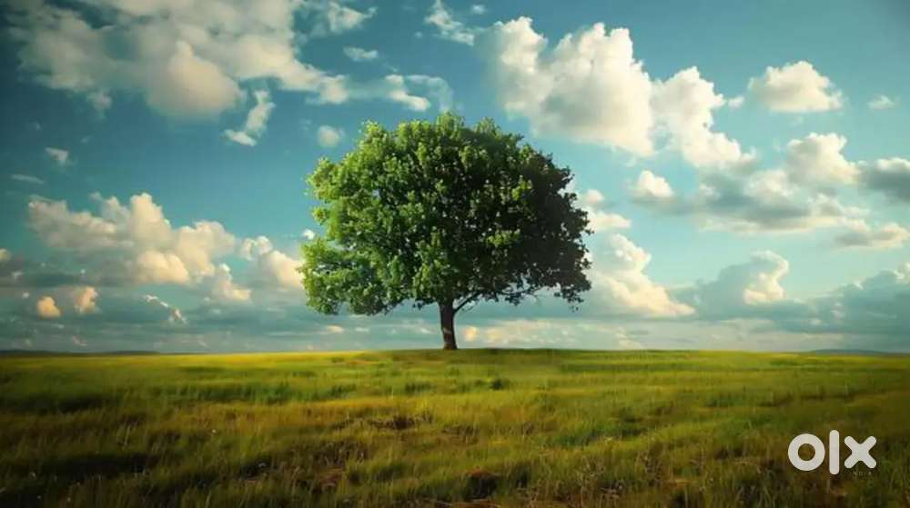 RESIDENTIAL PLOT FOR SALE, BICHOLIM, AREA 287SQ MTS, PRICE@₹6900/SQMTS