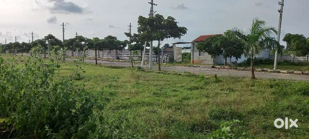 210 SqYds HMDA North-East Plot