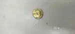 20 paisa Coin