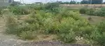 Park facing plot 60 fit road pr light pani ki suvida sivrej