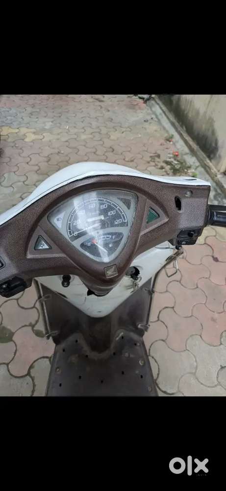 2017 Model Aviator