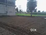 Sahodar bigha .Bodh gaya .bihar