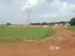 ଘରବାରି ପ୍ଲଟ ପାହଲ ପାଖରେ