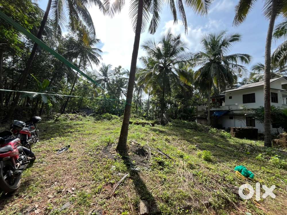 20 സെന്റ് flat plot