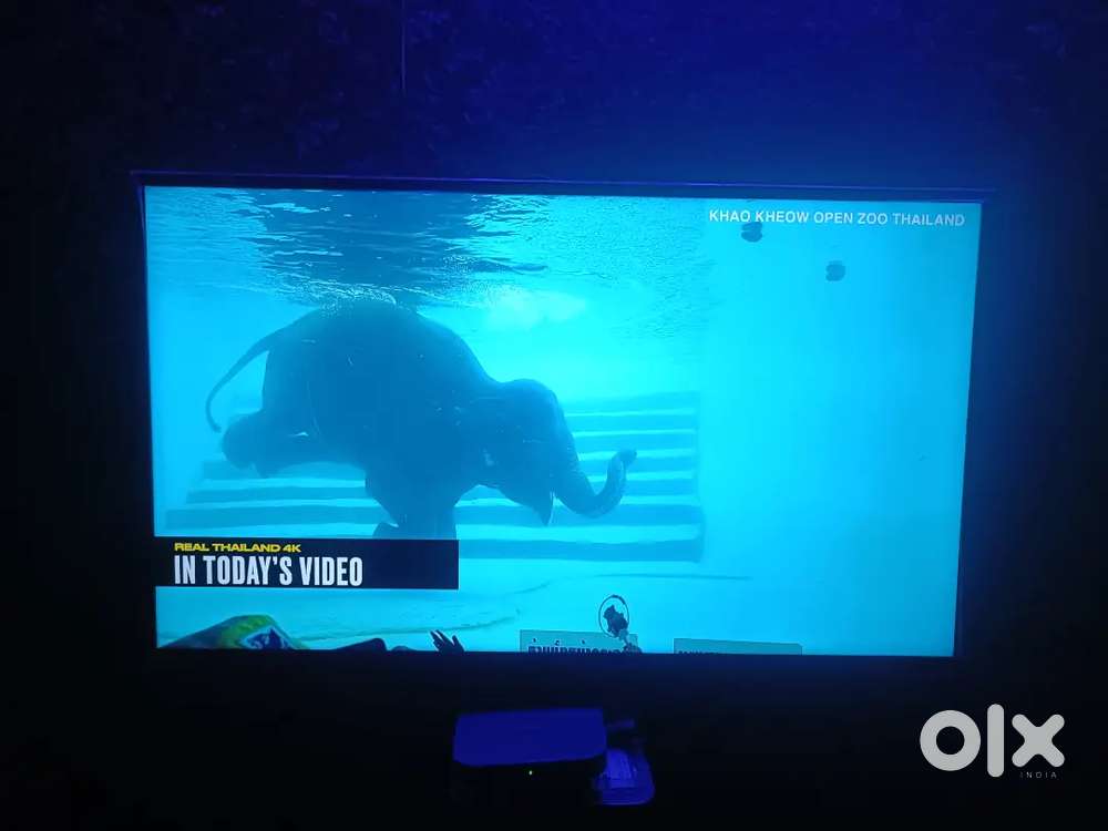 SAMSUNG 43 INCH 4K