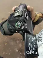 Canon 80 d good Candishan