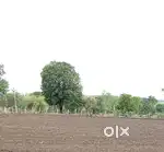 2 begha zameen hai besh nadi ke kinare vidisha se 8 km door