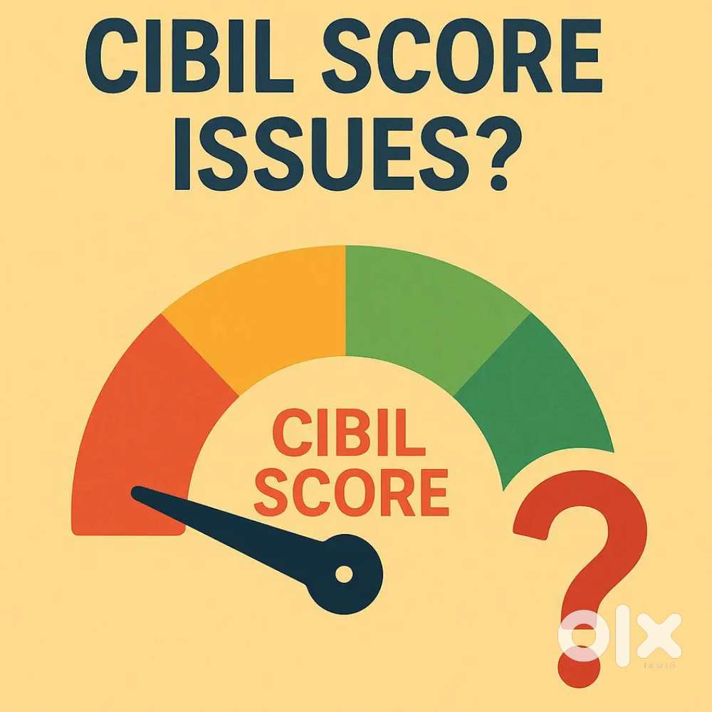 CIBIL CONSULTANT