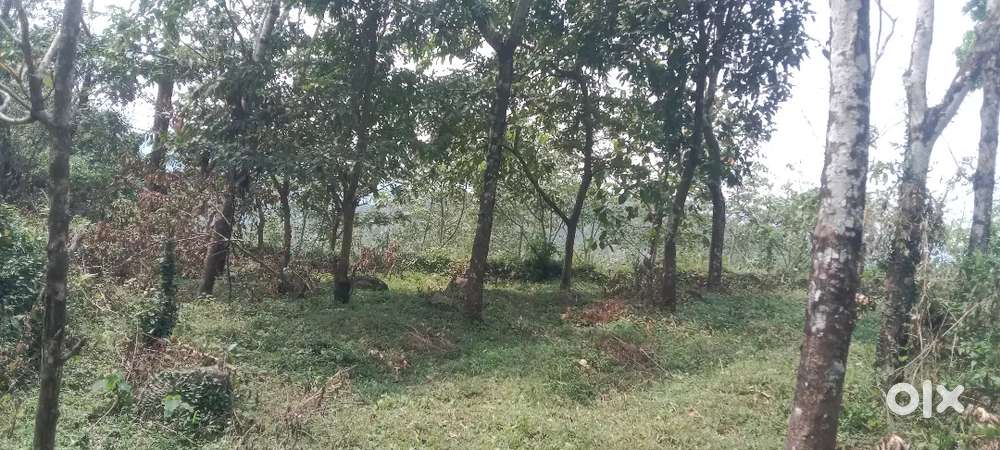 Land for tourism project