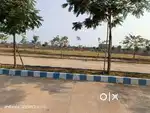 प्लाट मात्र 500/-मे धनेली रावतपुरा यूनिवर्सिटी कॉलेज के पास