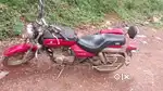 Bajaj Avenger Bike