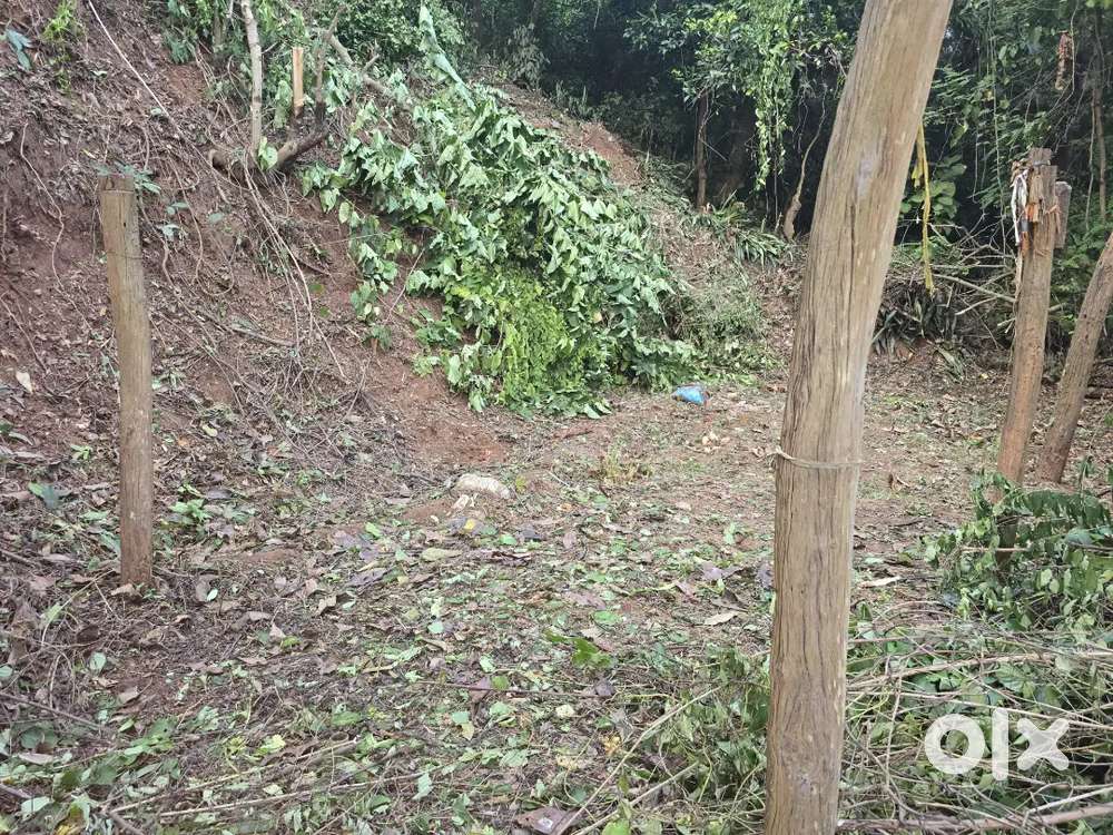 Land for sale in chandmari Hill sise