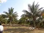 Farm land for sale - 50 cents to 1 acre