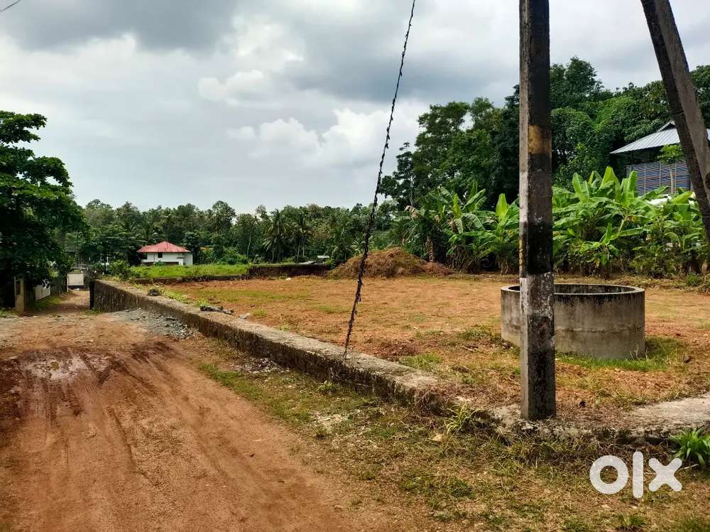 8.5 cent House plot for Sale

mammod