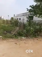 Plot for sell