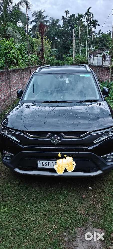 Maruti Suzuki Brezza 2024 Petrol 20000 Km Driven