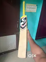 English Willow Bat