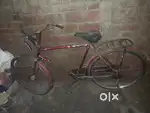 Neelam for sale good cadisan