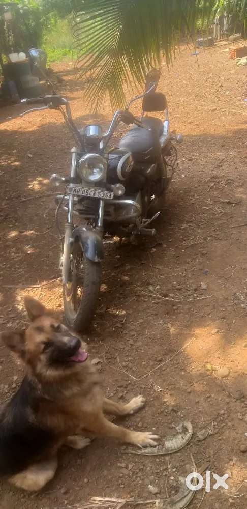 Bajaj avenger 220 cc