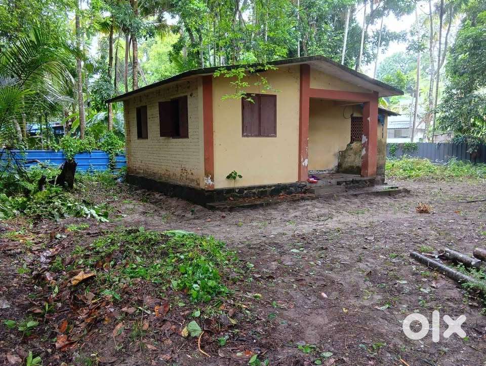 10 Cents - Panavally