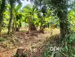House plot for sale at Mathukoth