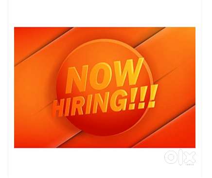 Business Development Executive