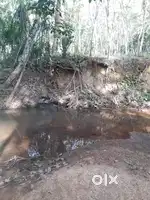 50 cent plot for sale in Ex Service man Colony, Palode