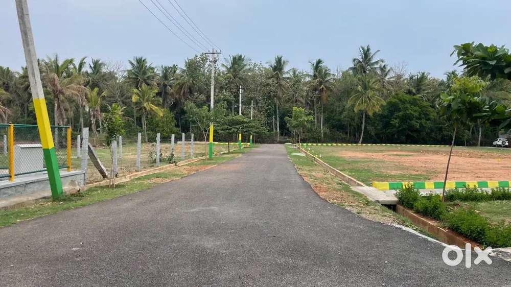 Muda approved site for sale