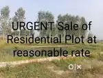 Urgent Sale of Residential Plot