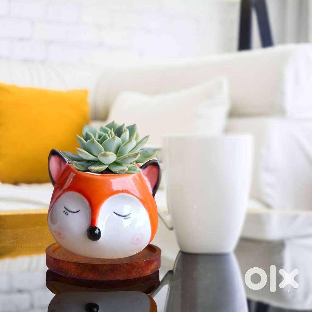 Cute Ceramic Pots - Flower Pots - Indoor Decoration