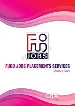 Job in wheels India