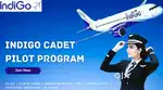 Jobs in Indigo Airlines vacancy available for Male, Female candidates